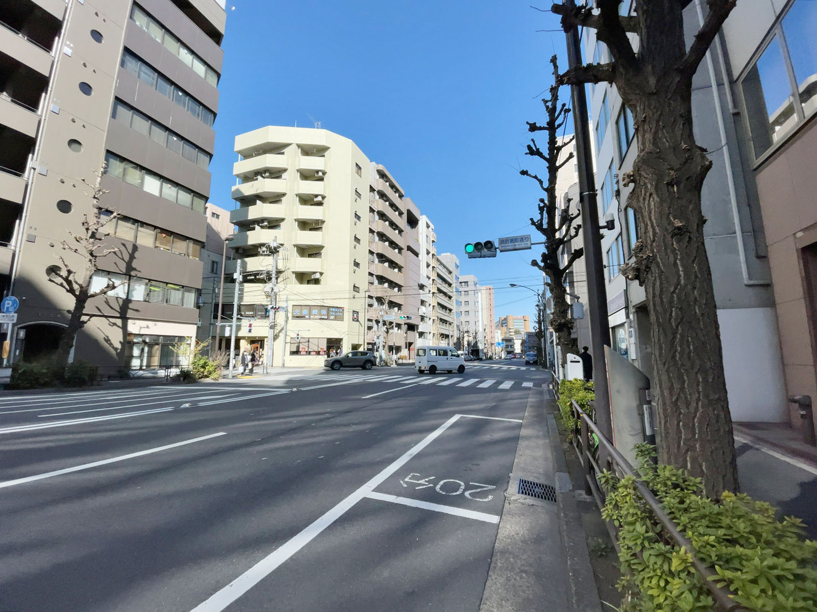 本郷大関ビル前面の通り