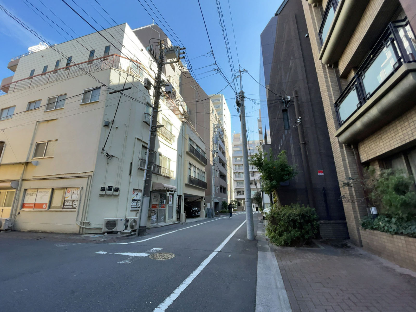 ルーフ御茶ノ水ヒルズ前面の通り