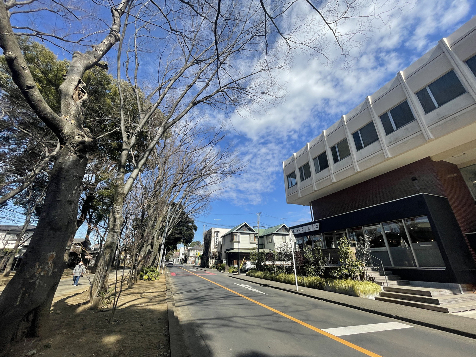 Bibli前面の通り
