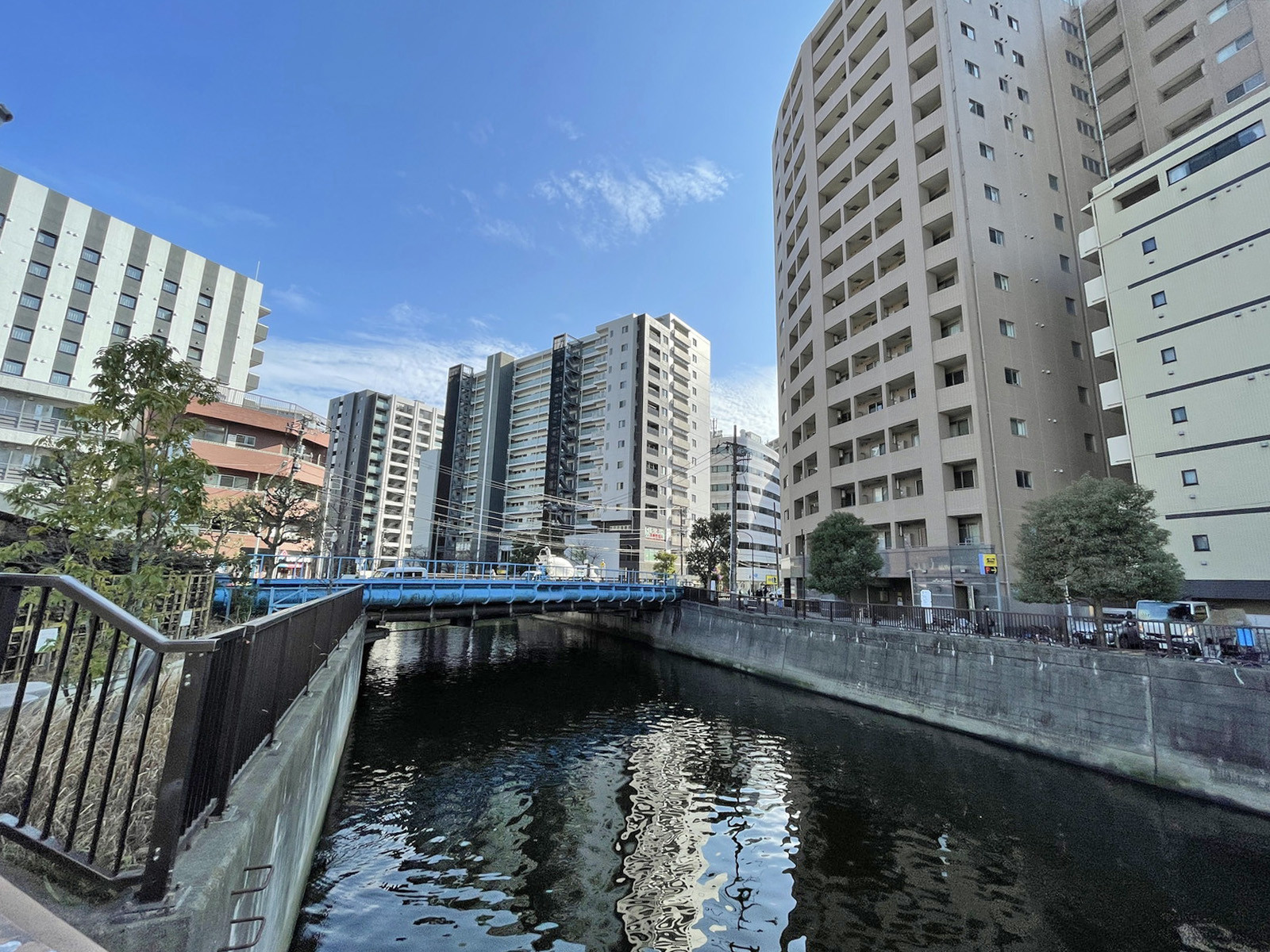 付近の呑川