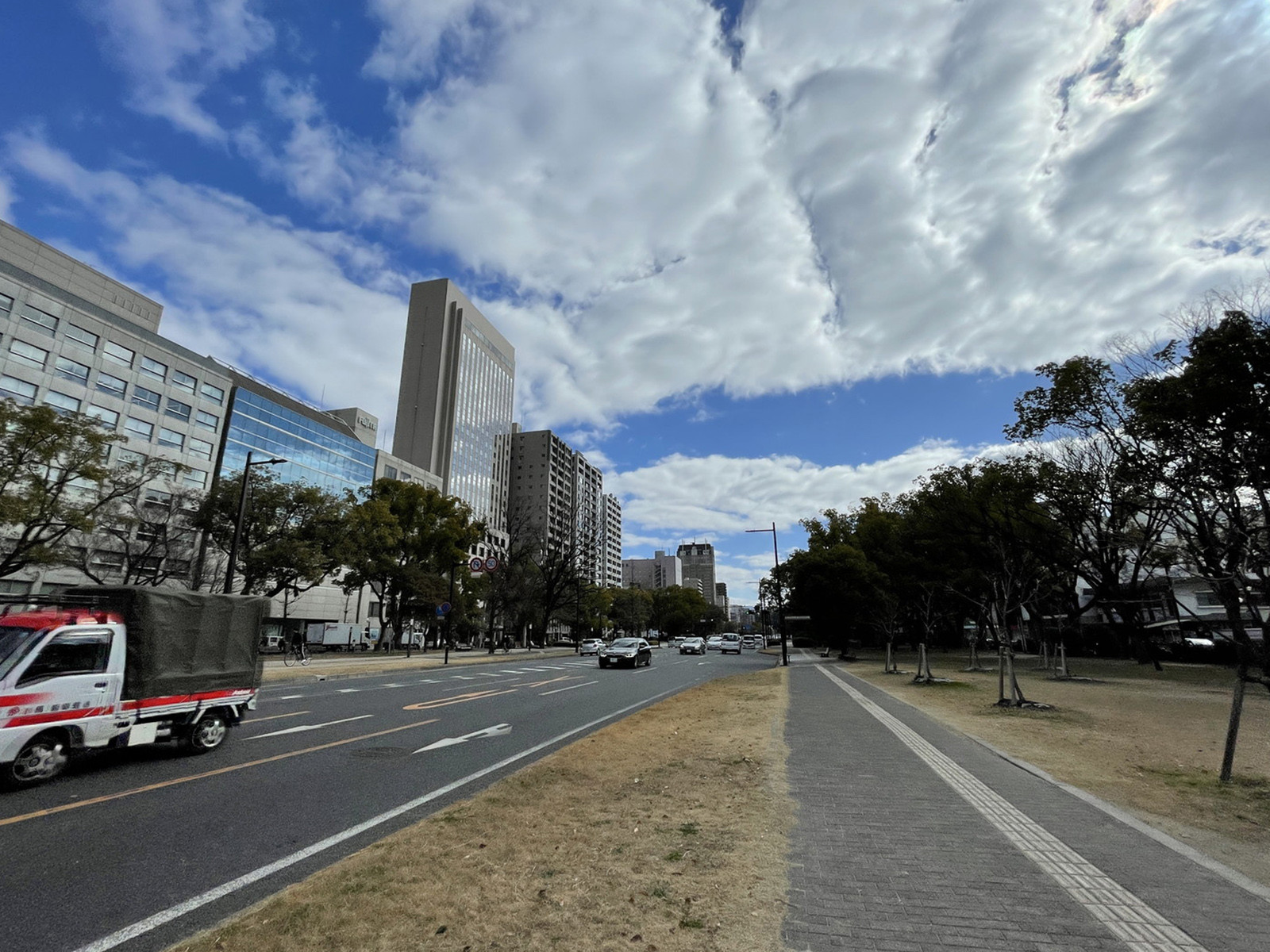 近くの平和大通り