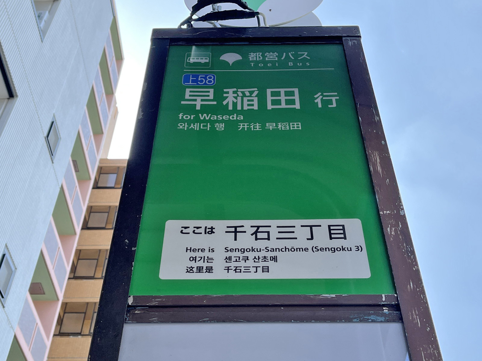 ビル前のバス停「千石三丁目」