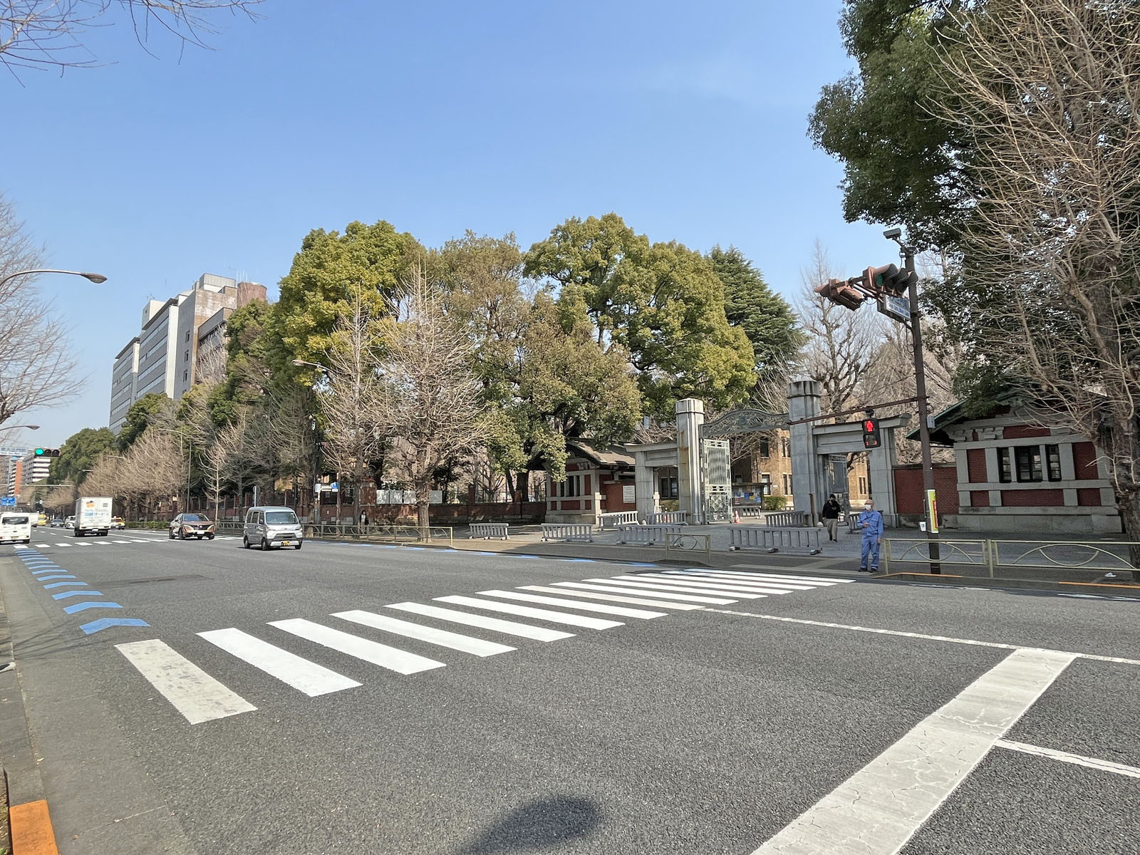 本郷綱ビル前面の本郷通り