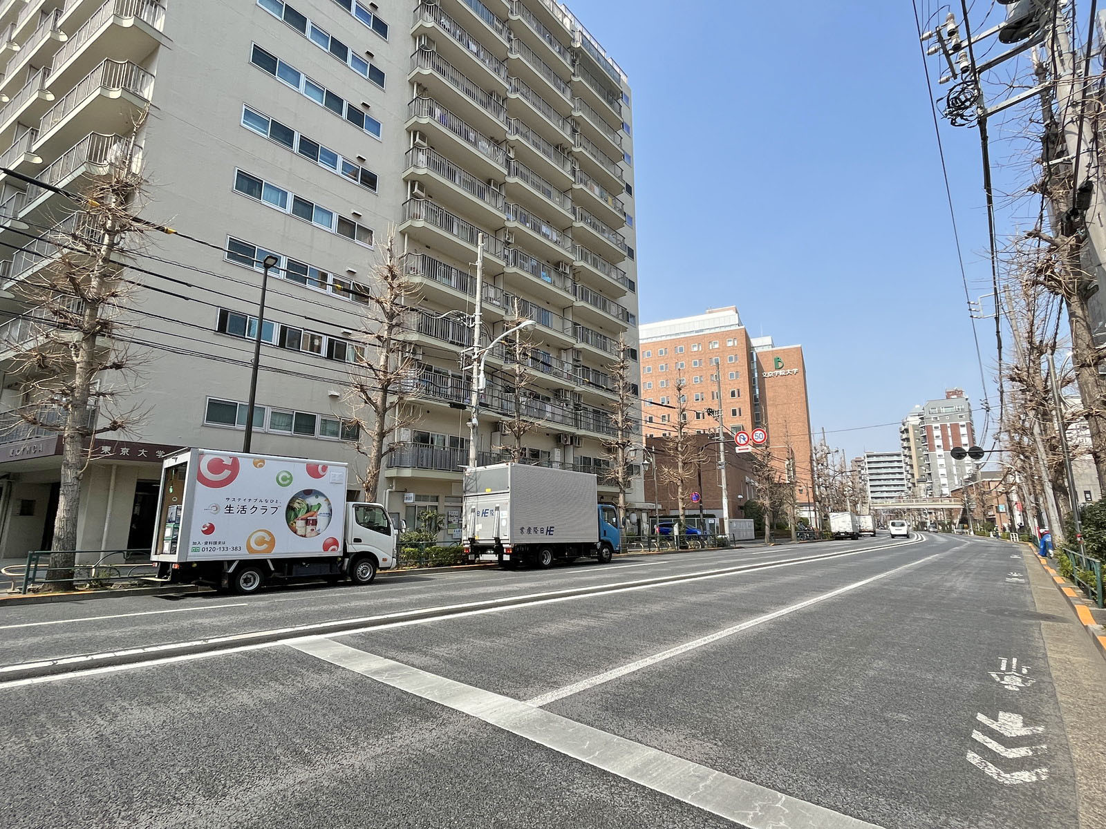 マンションニュー本郷前面の本郷通り