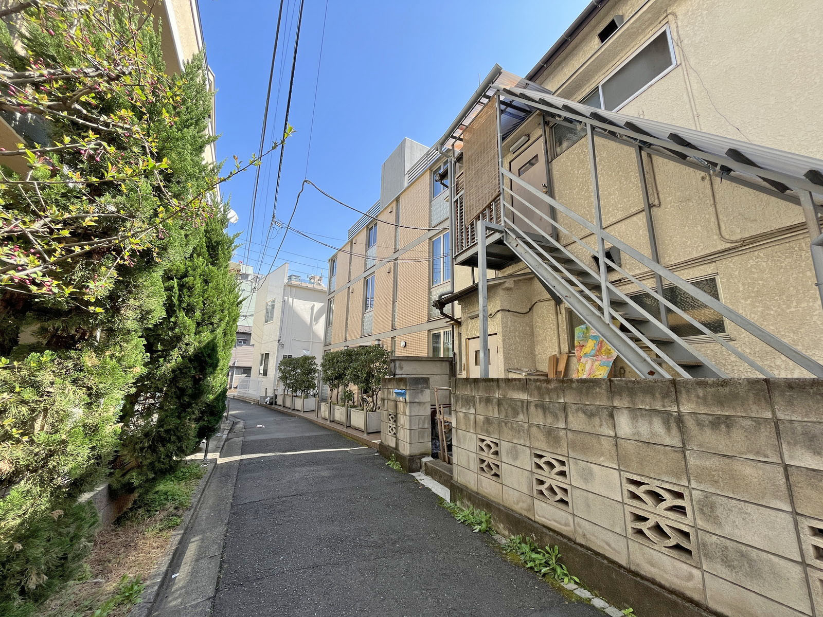 第2京美ビル前面通り