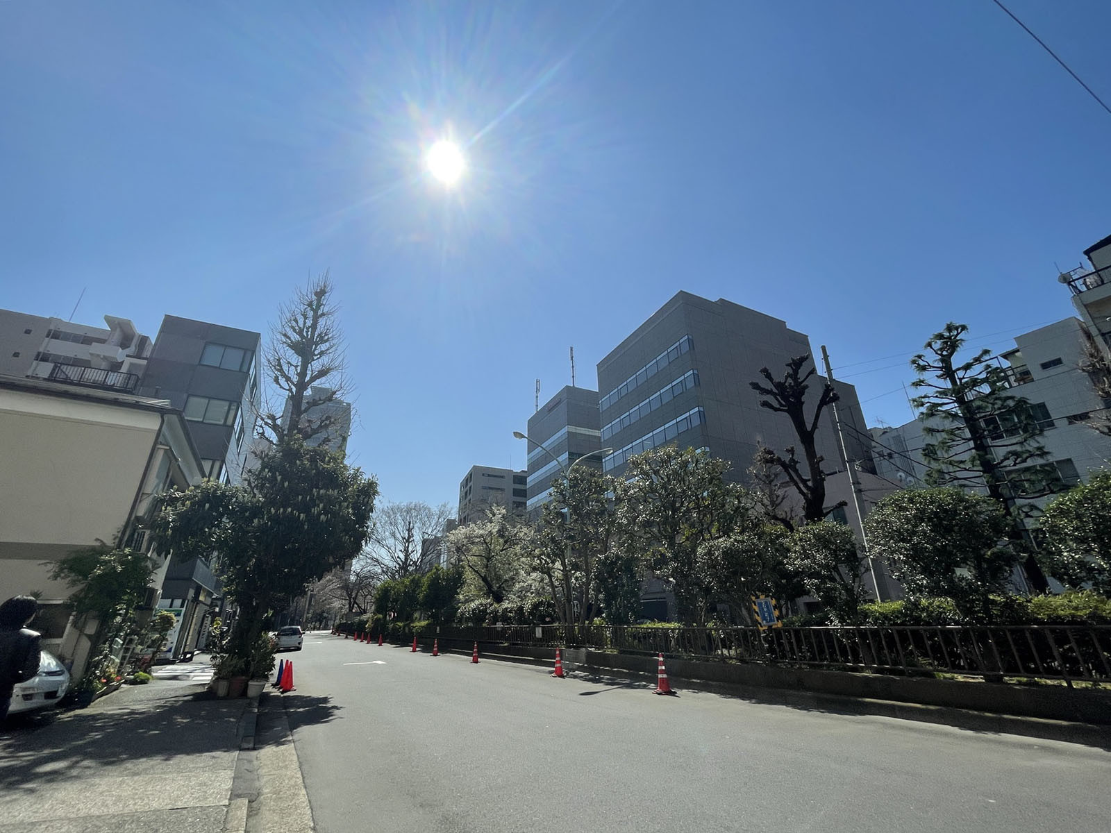 sbtびる前面の通り