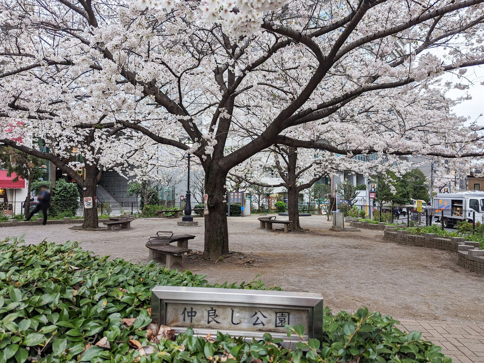通り沿いの仲良し公園