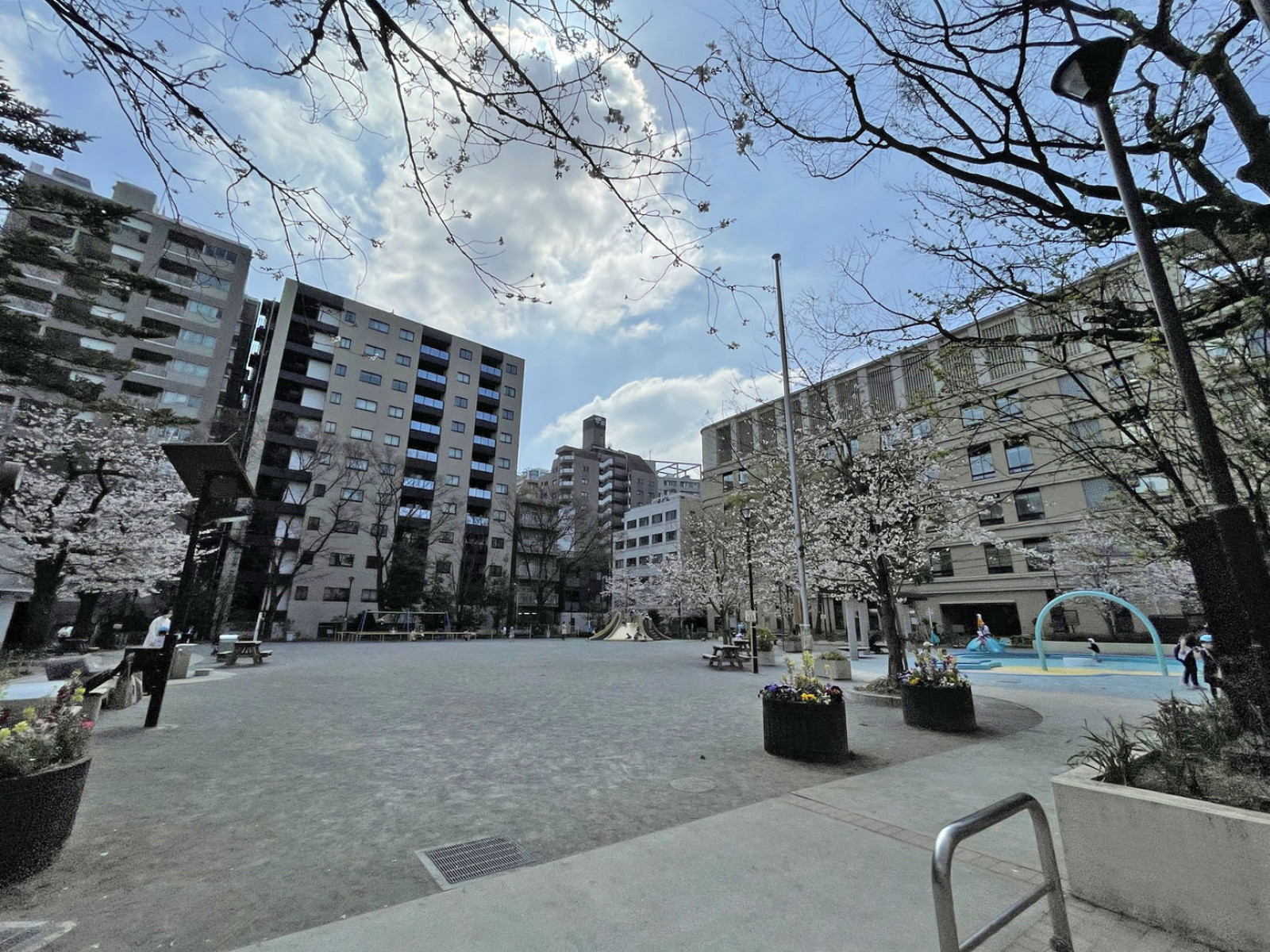 向かいの越前堀越児童公園