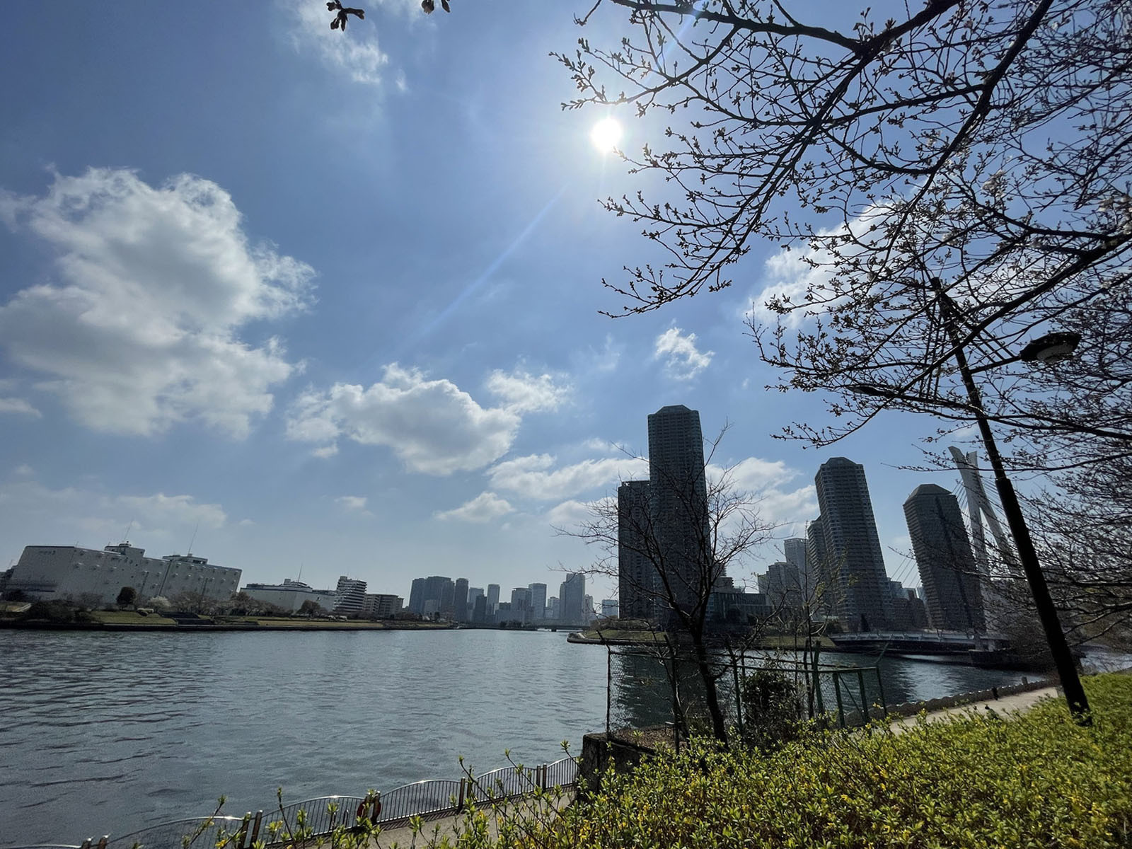 付近の隅田川