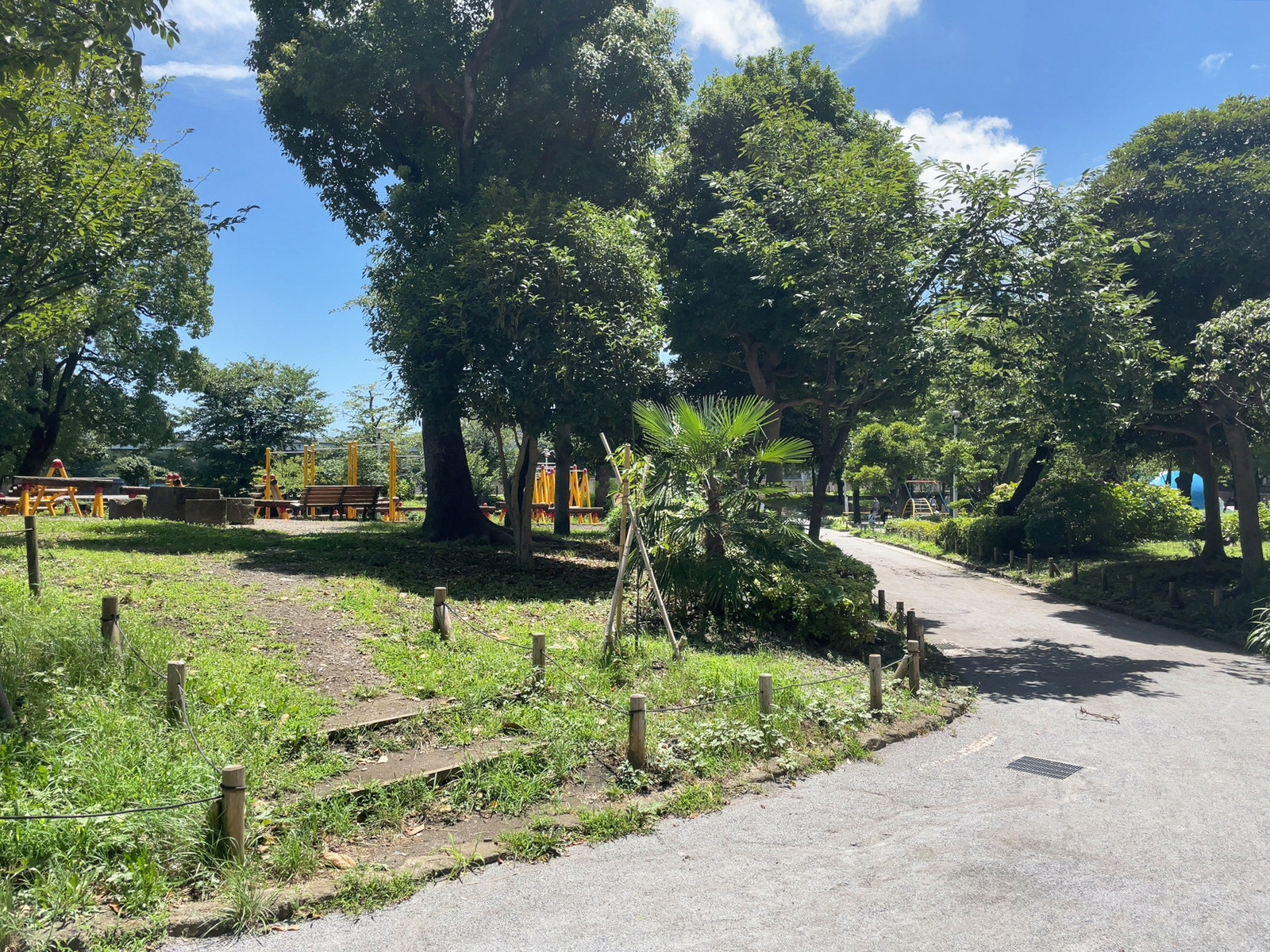 向かいの隅田公園