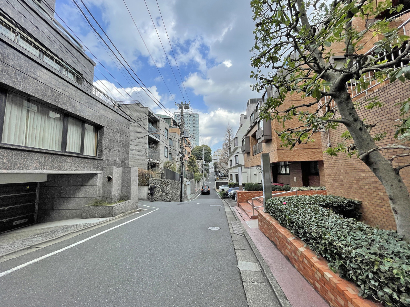 TERRACE HILL AOYAMA前面の通り
