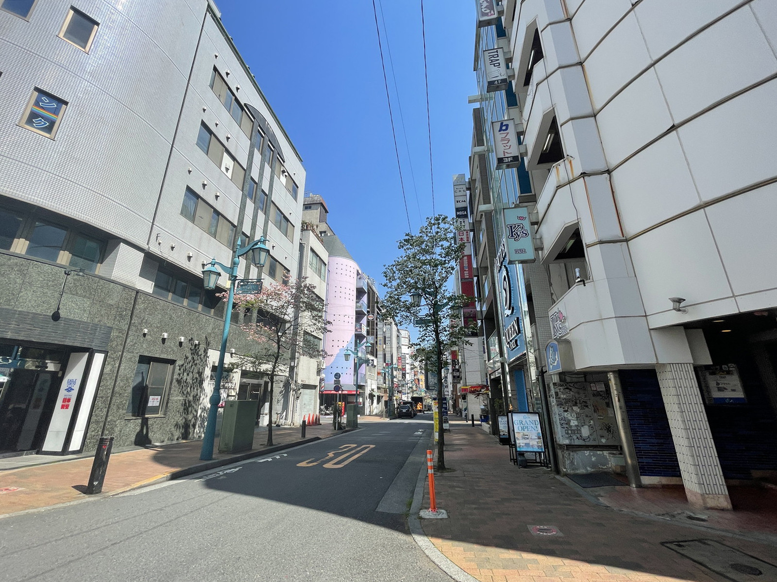 カーサヴェルデ前面の通り