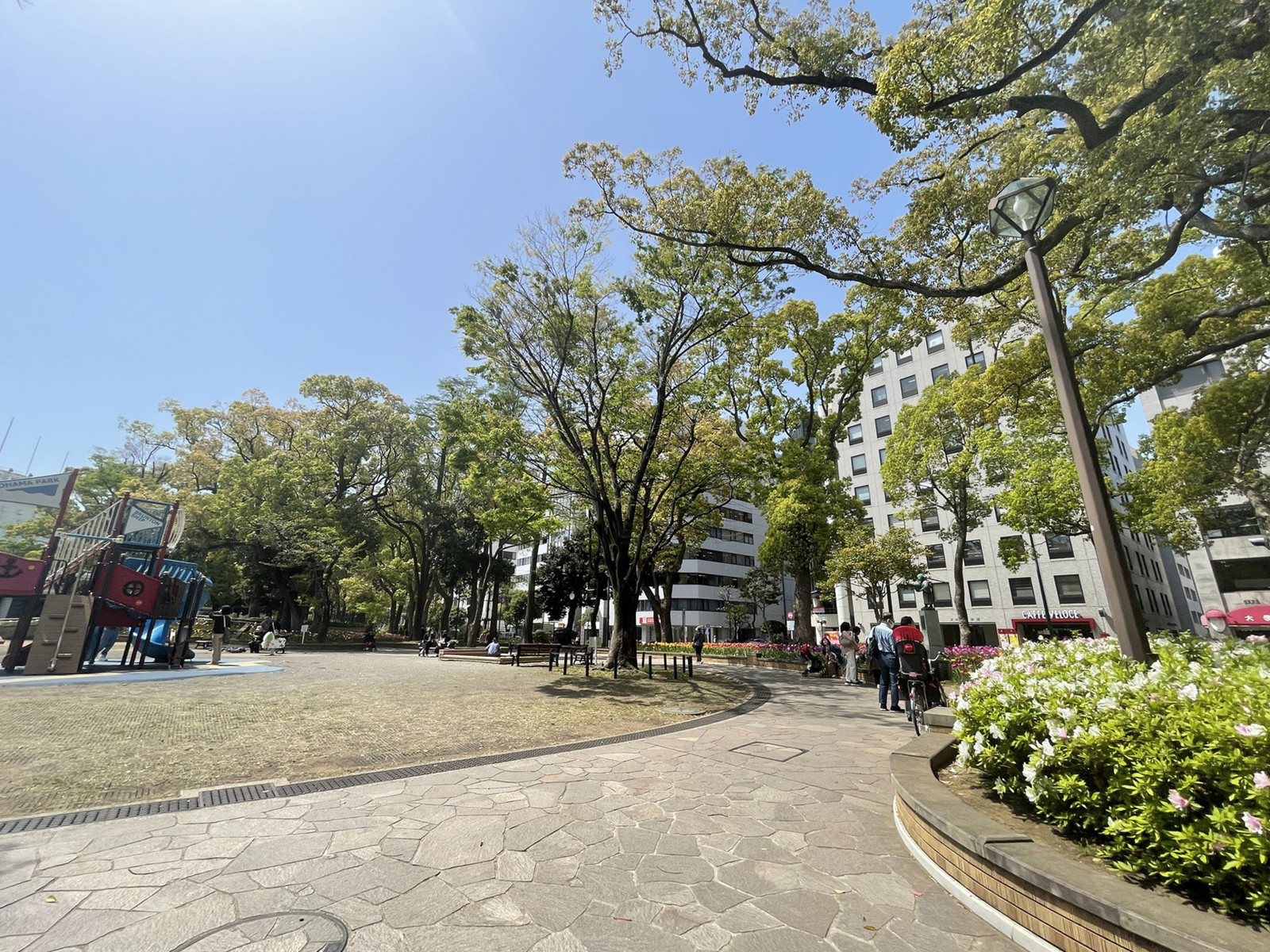 向かいの横浜公園