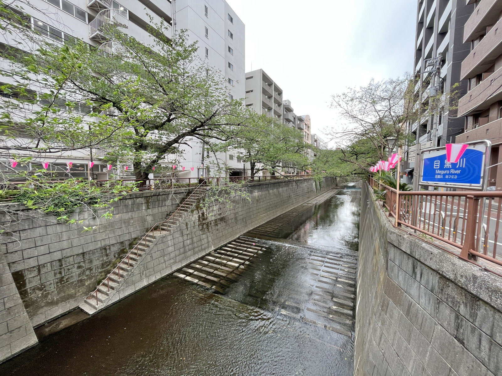 近くを流れる目黒川