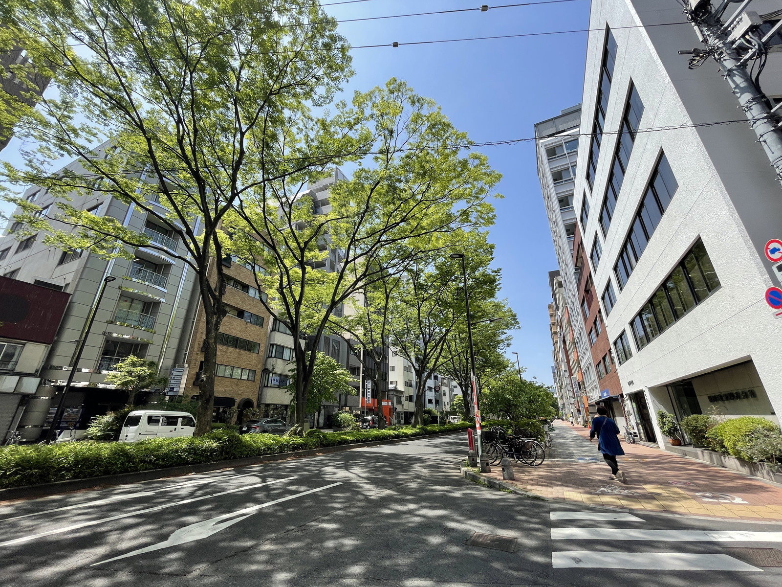 DeLCCS山吹神楽坂前面の通り