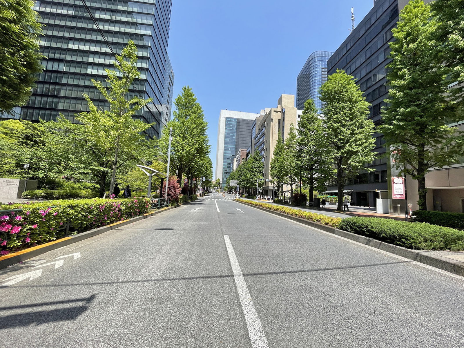 龍名館本店ビル前面の通り
