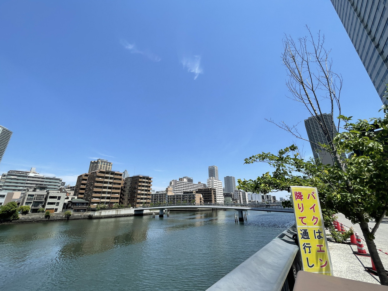 周辺は風通しの良いエリア