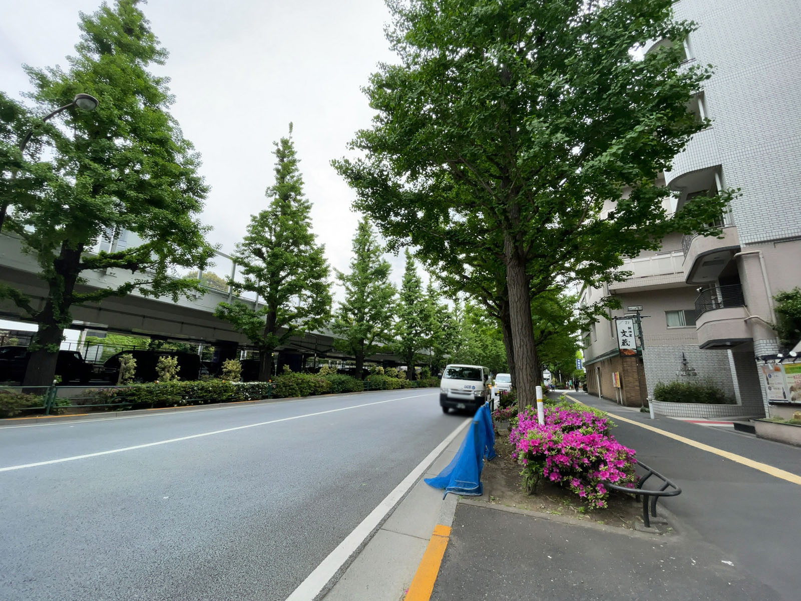 ビル前の四谷角筈線