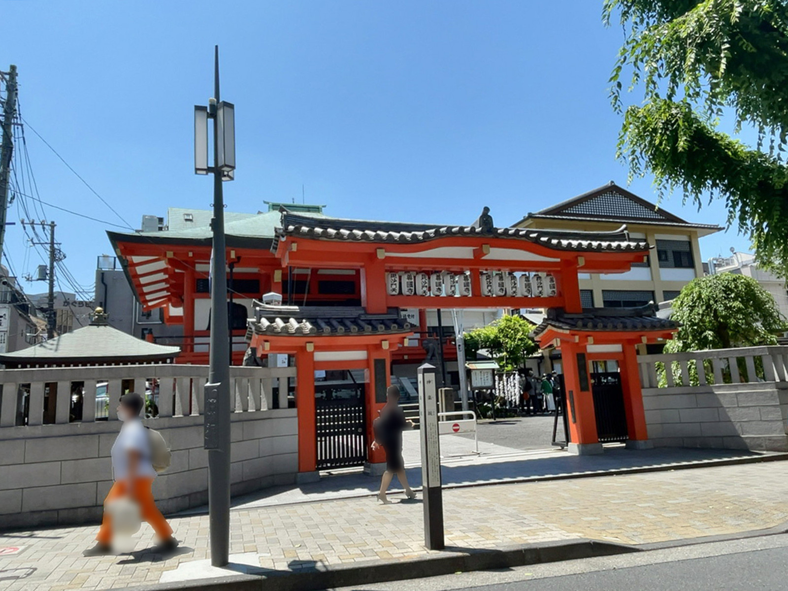 向かいの日蓮宗 善國寺