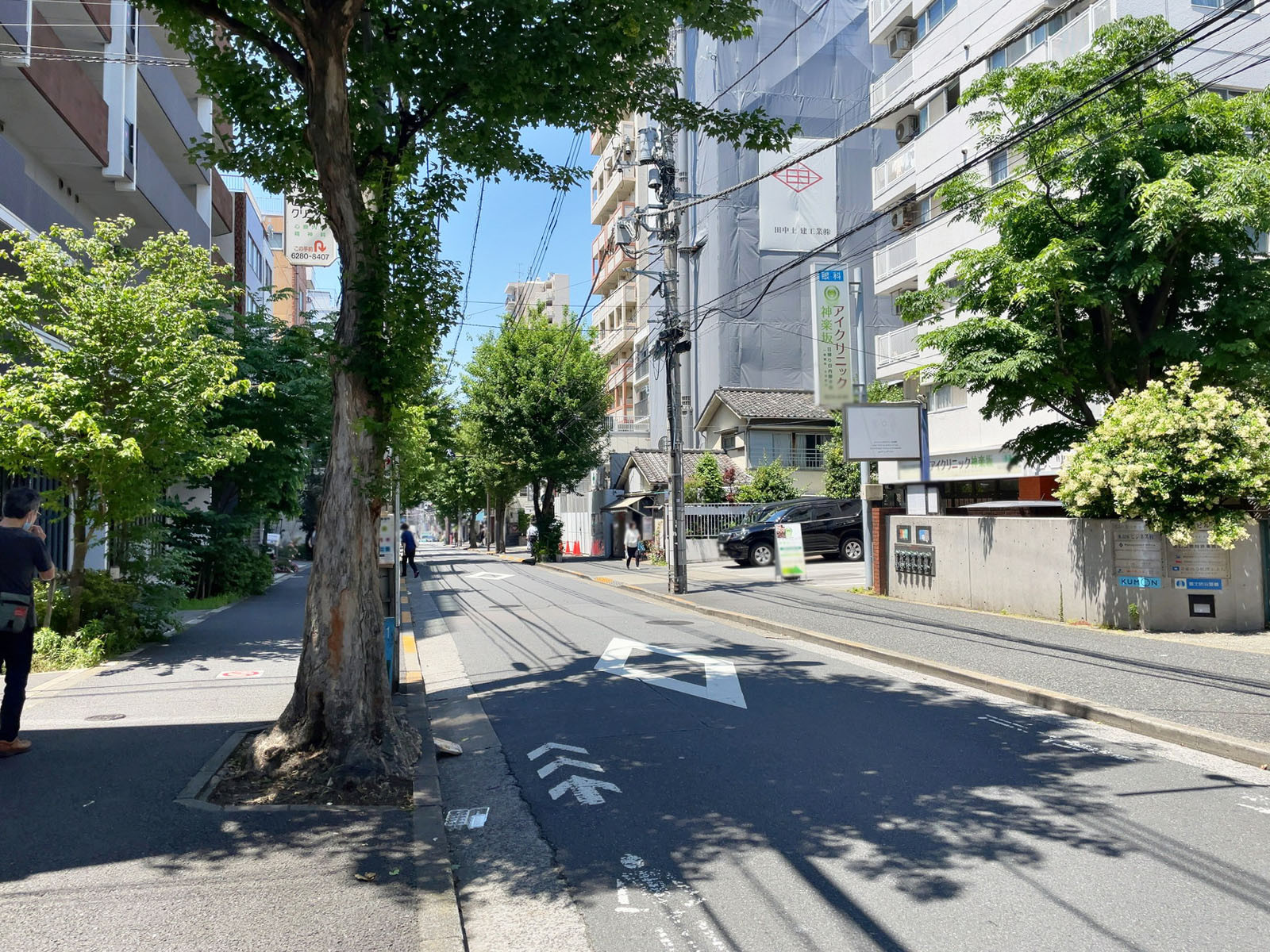 神楽坂升本ビル前面の早稲田通り