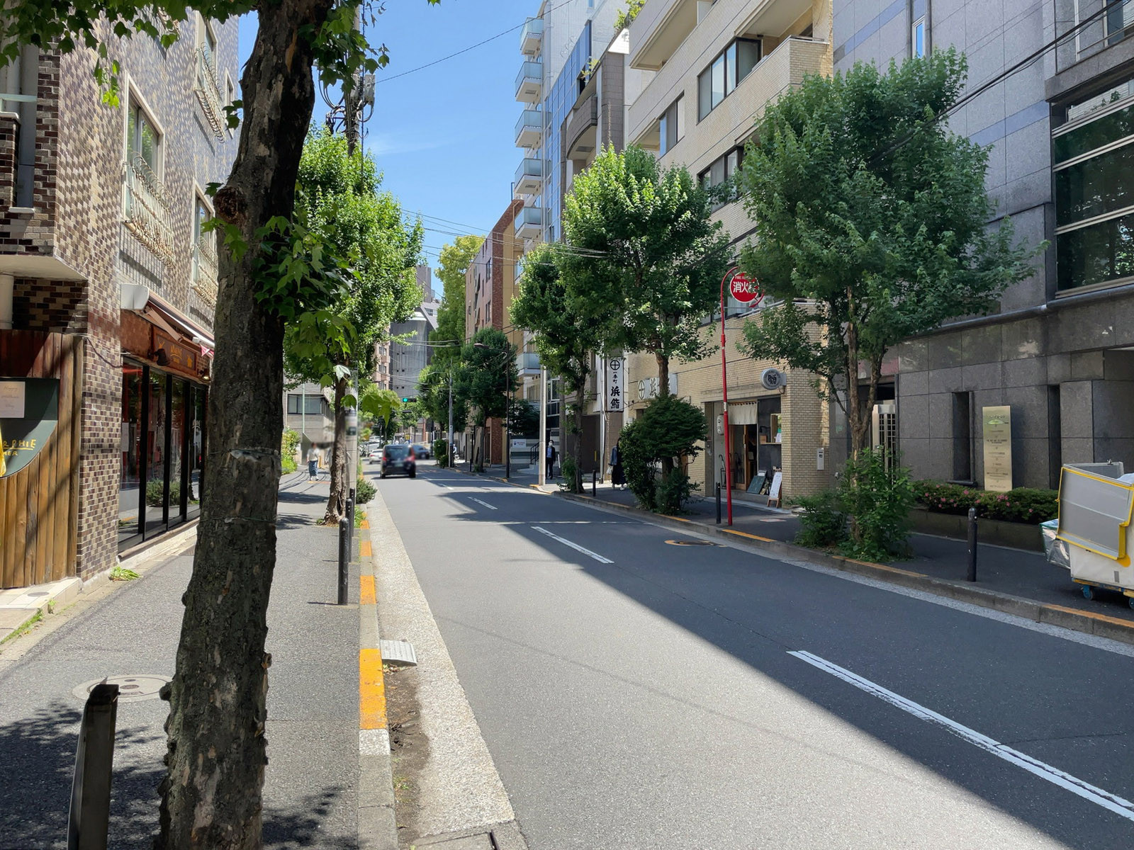 相模屋第5ビル前面の通り