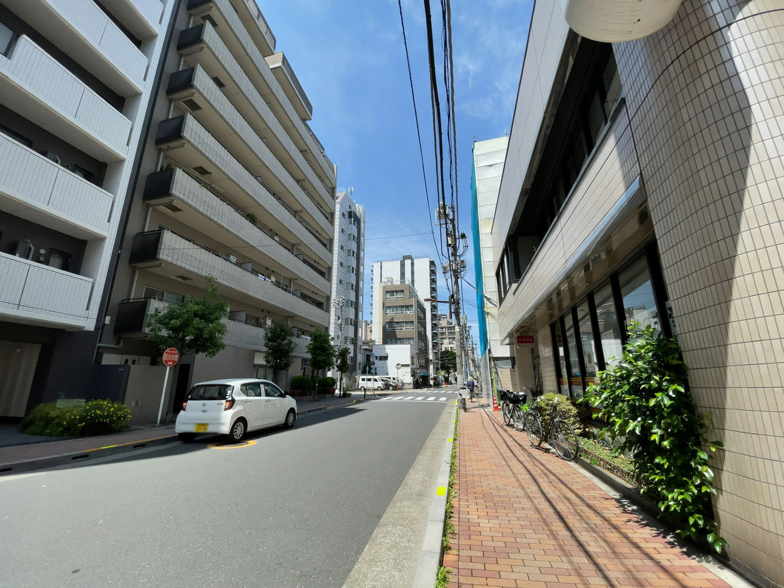 コットンボールビル前面の通り