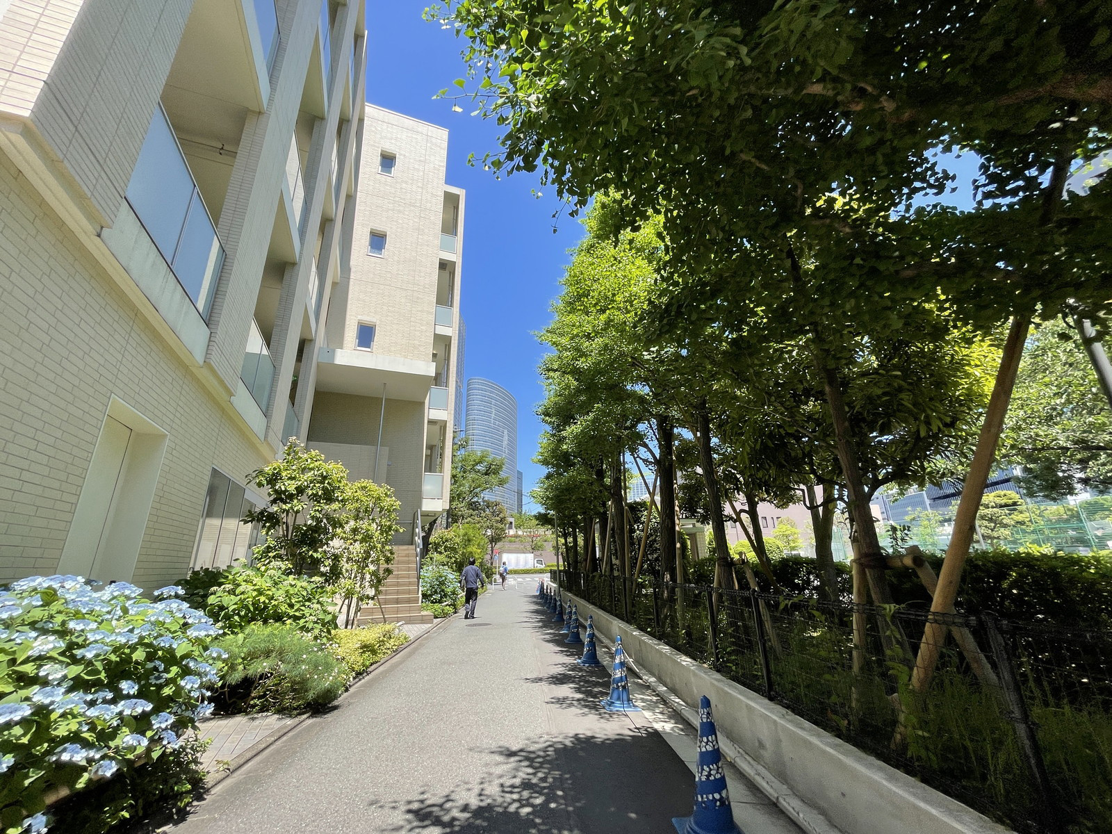 八ツ山三和ハウス前面の通り