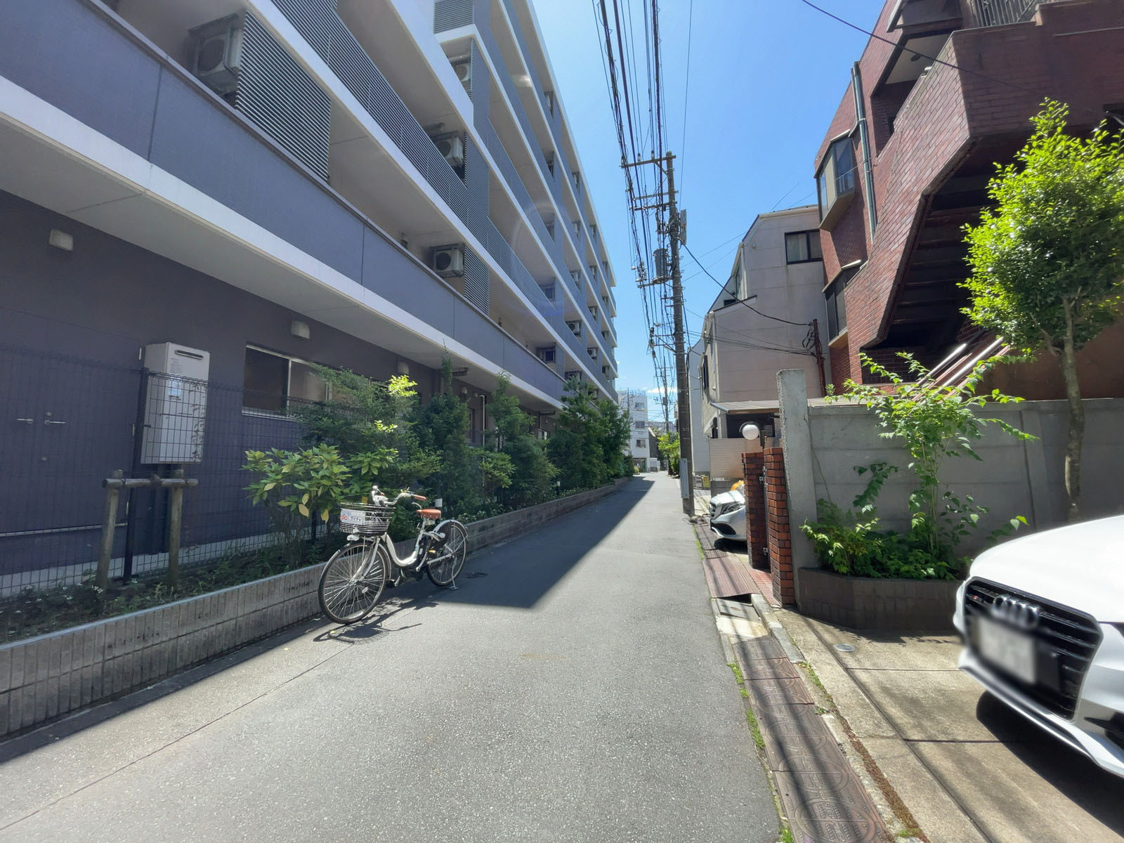 川邊ビル前面の通り