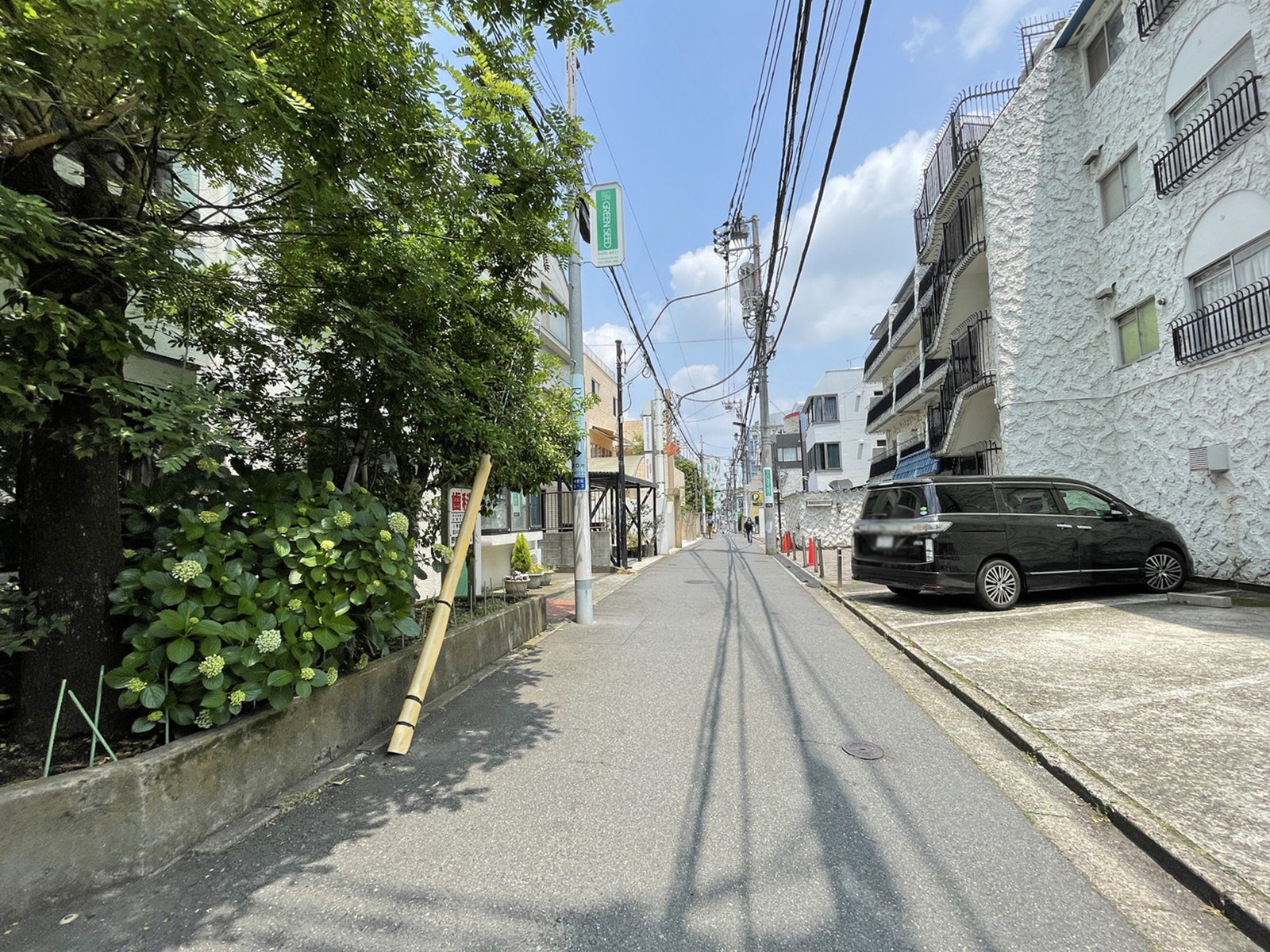 近くのロハス通り
