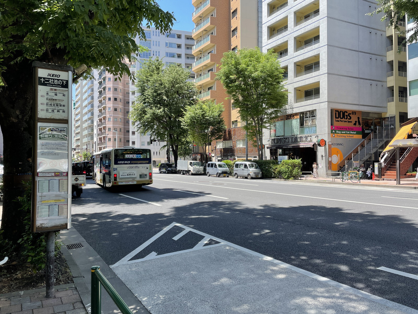 新宿タツミビル前面の国府道