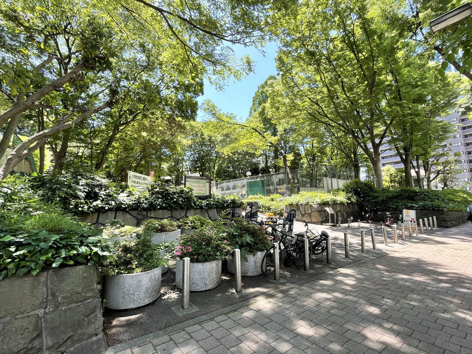 近くの新宿中央公園