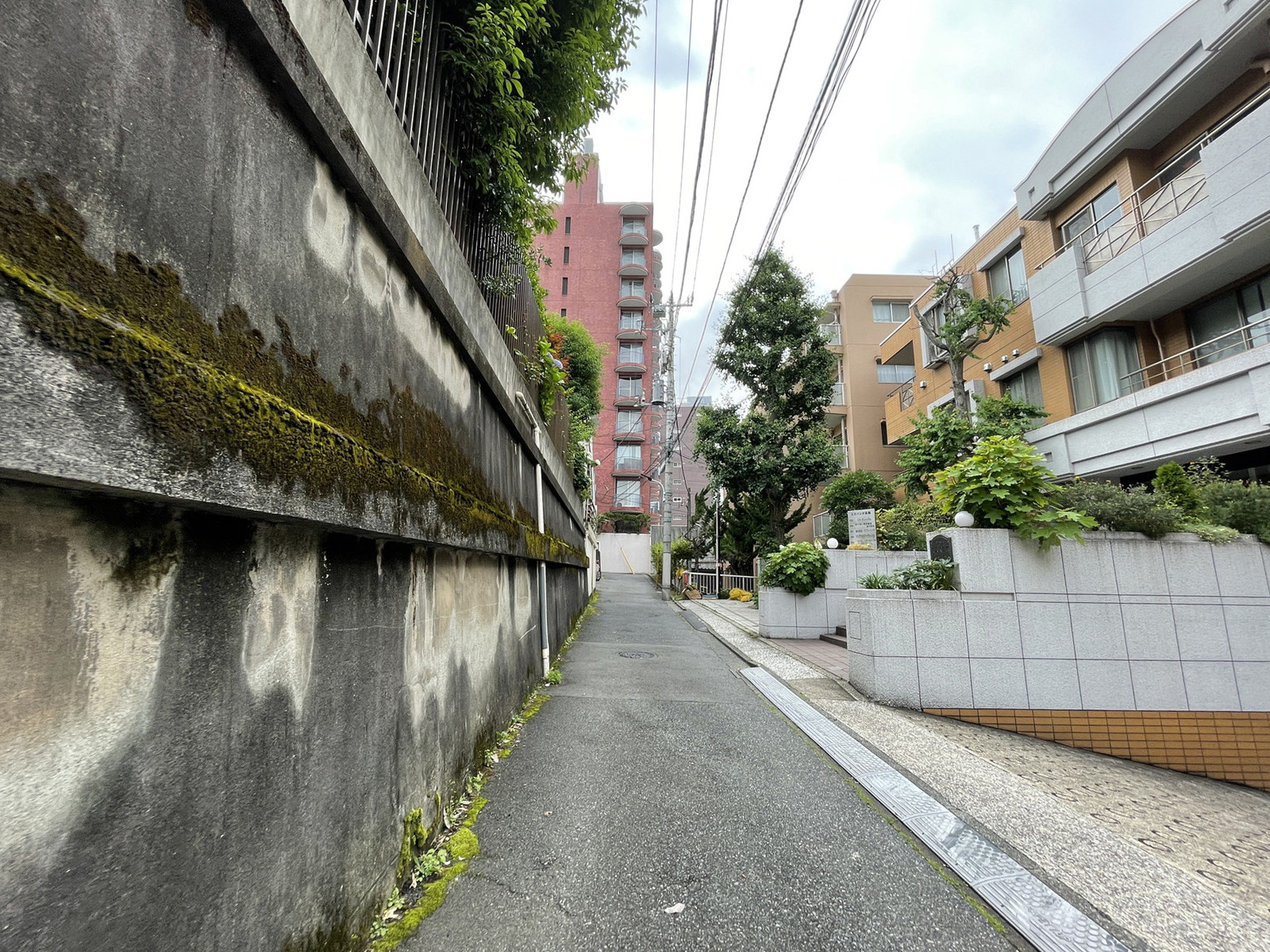 エスパシオ高輪前面の通り
