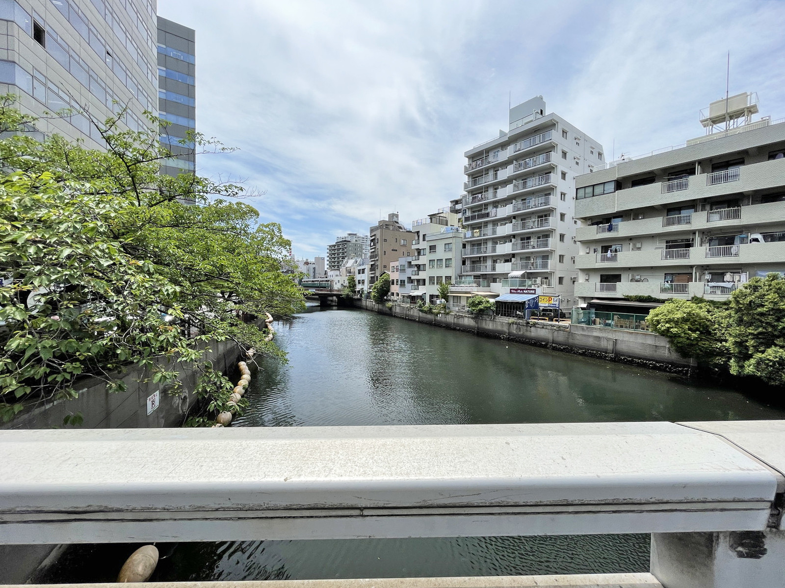 近くの大岡川