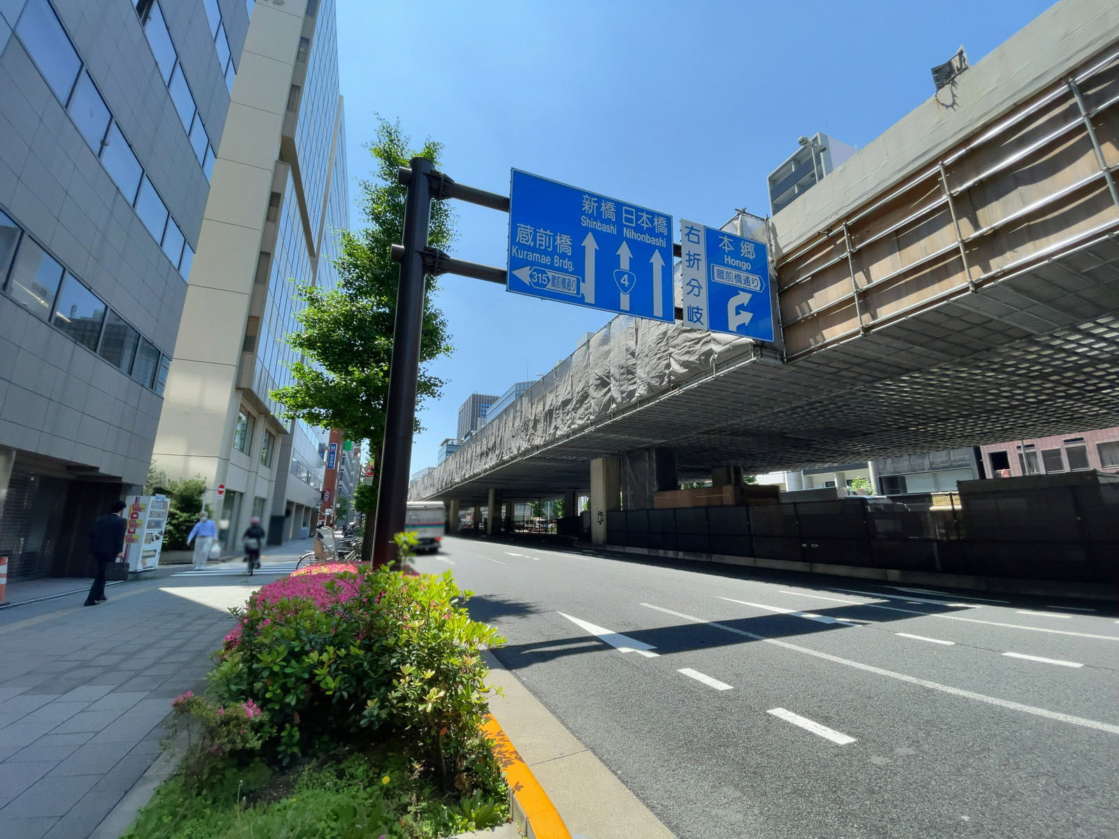 至近の昭和通り