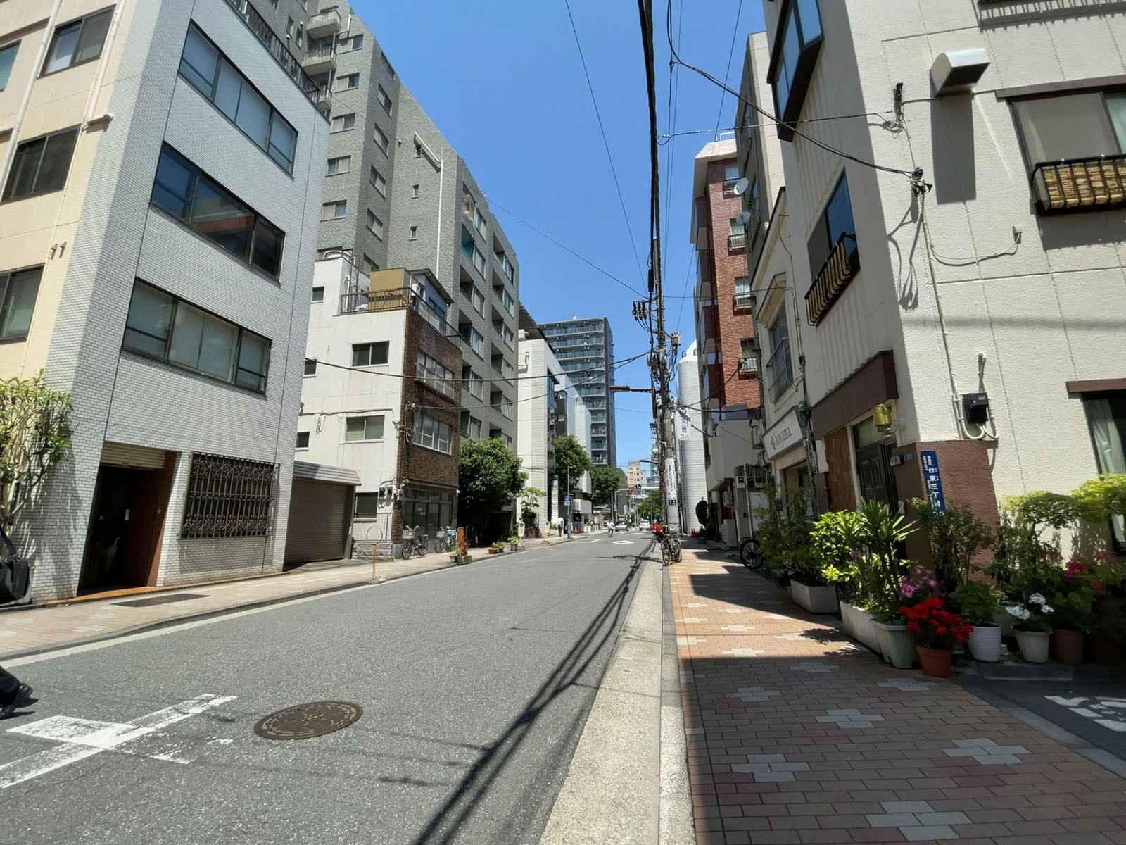 津田ビル前面の通り
