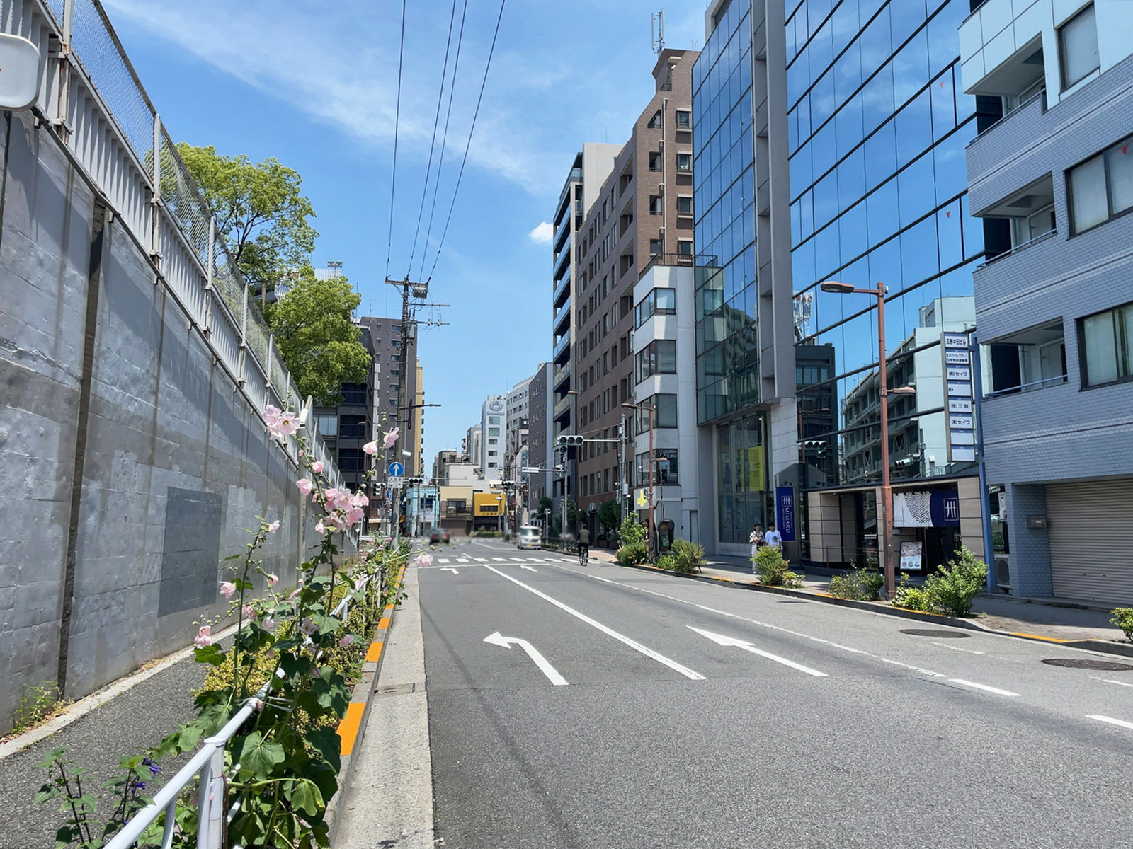 三恵中田ビル前面の入谷口通り