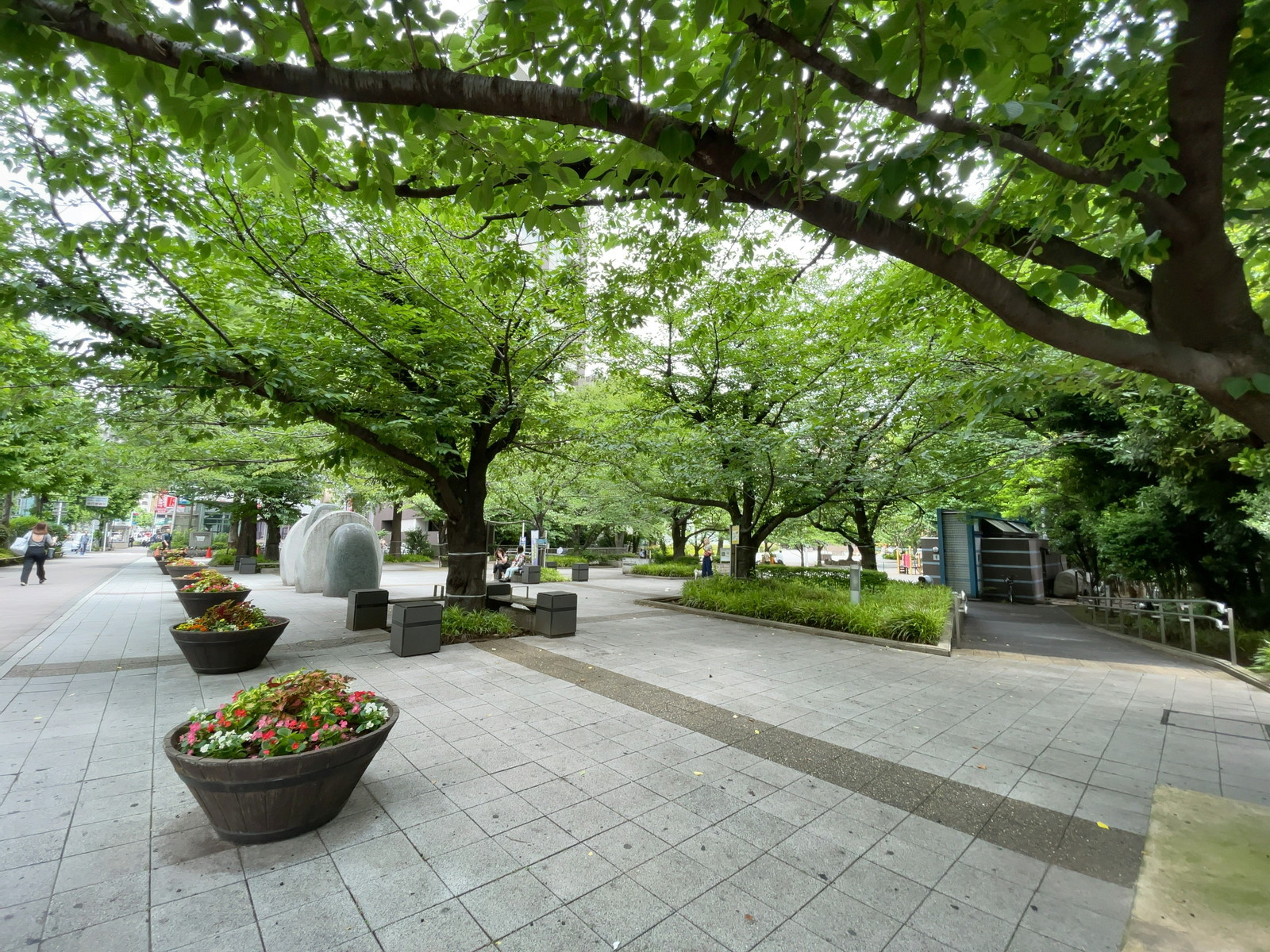 至近の中央区立桜川公