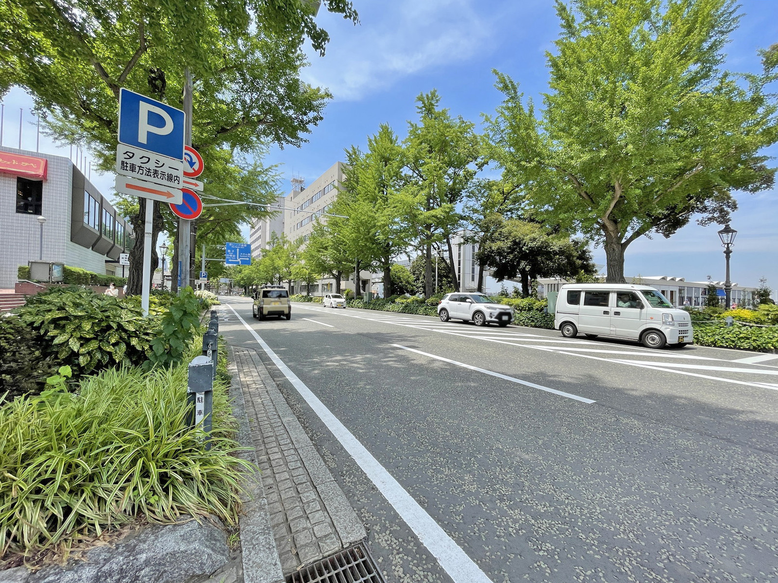 産業貿易センタービル前面の通り