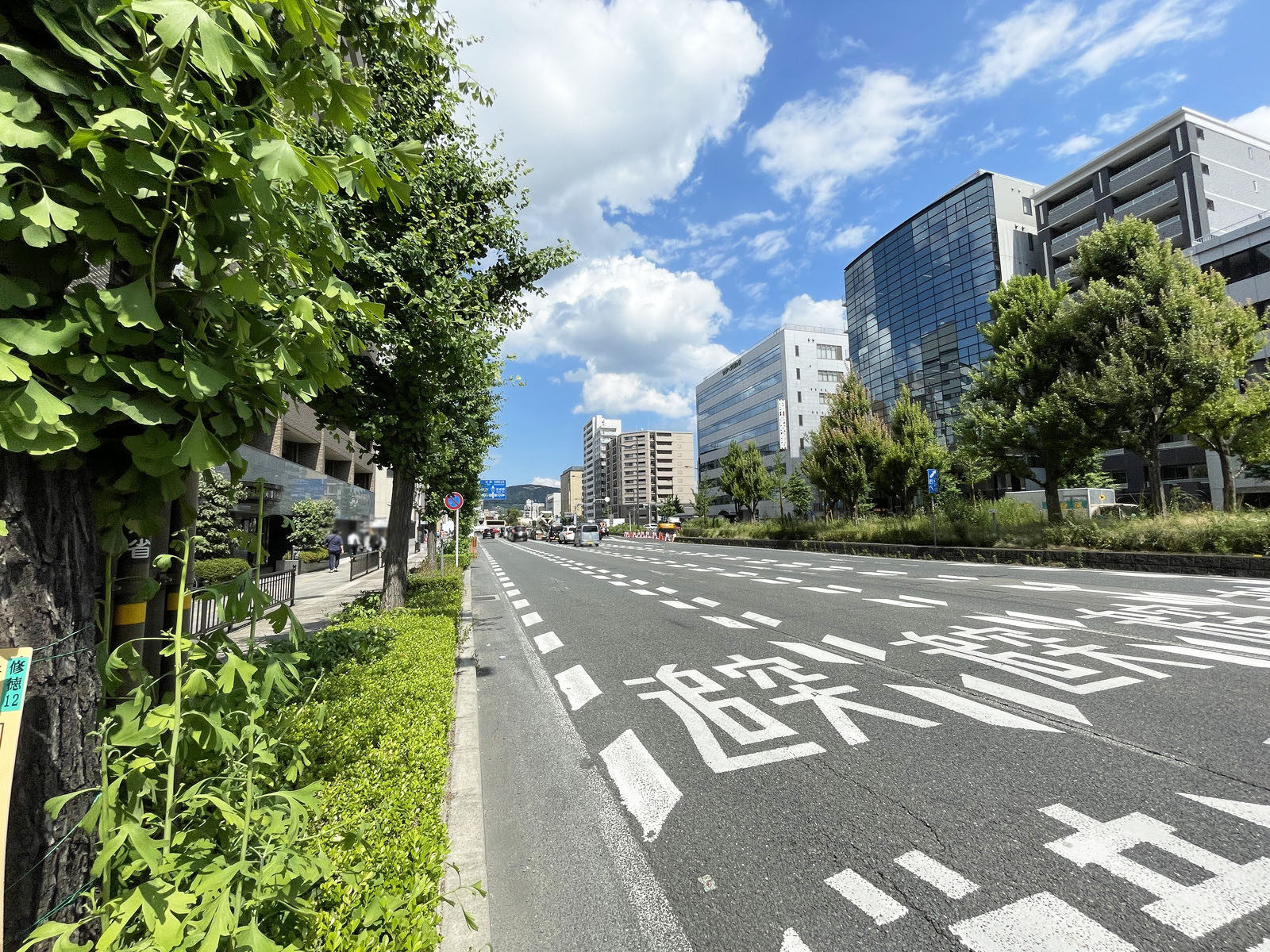 GAZELLE RIO 烏丸五条前面の通り