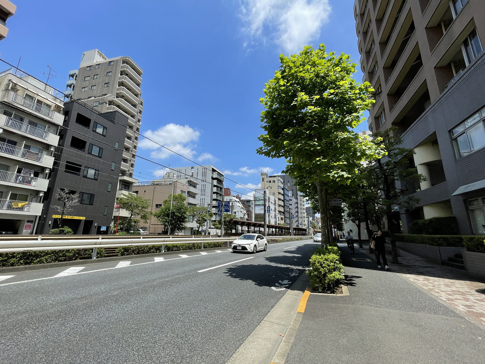 AZ 西早稲田前面の通り