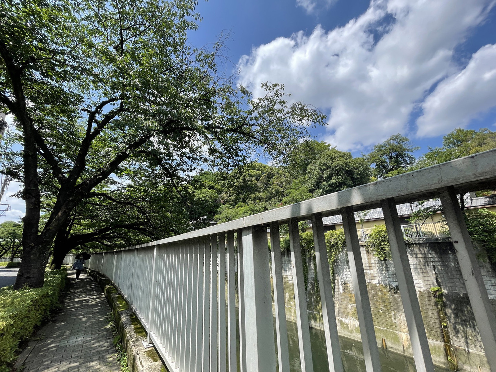 至近の神田川