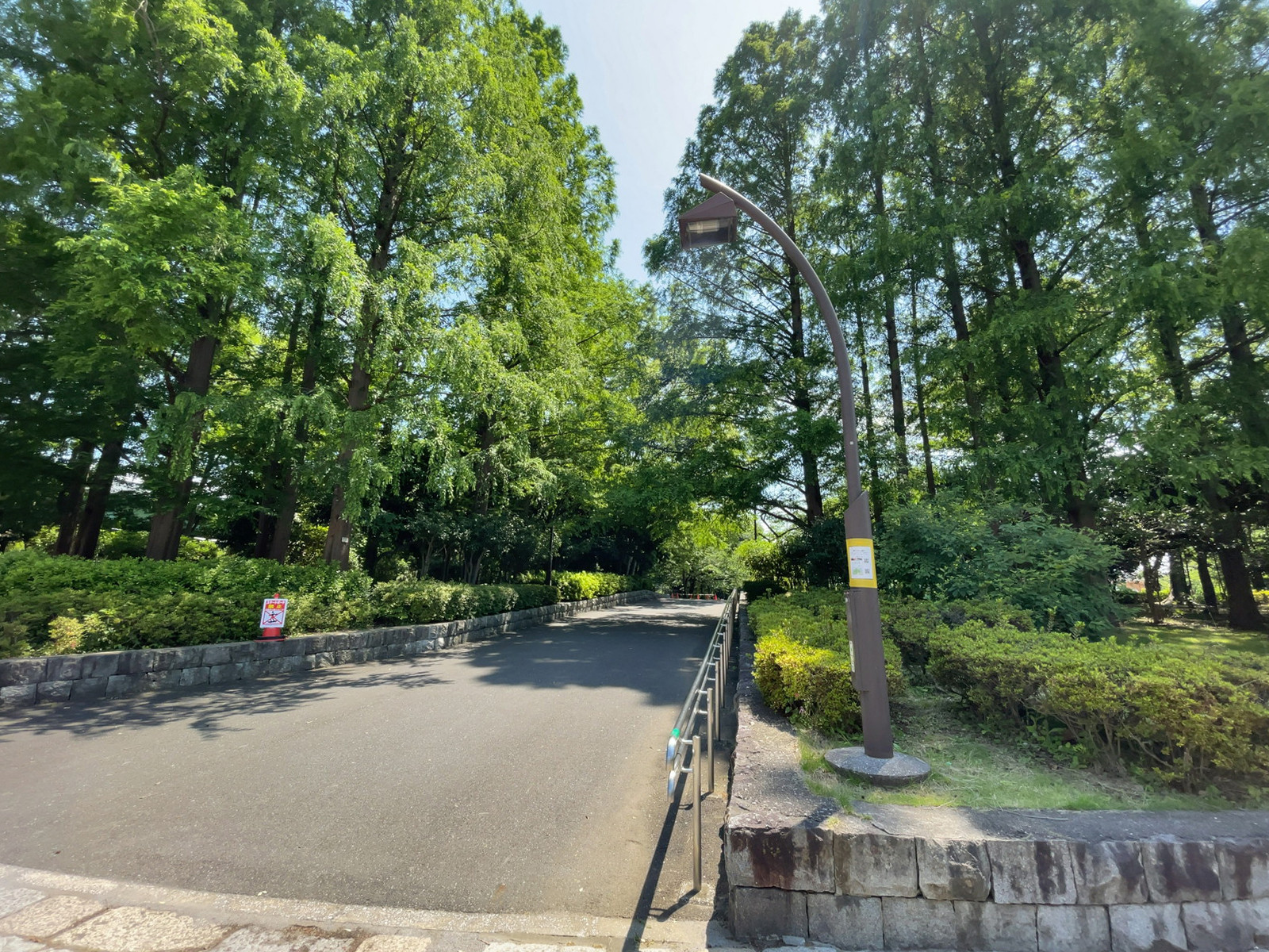 徒歩1分の亀戸中央公園