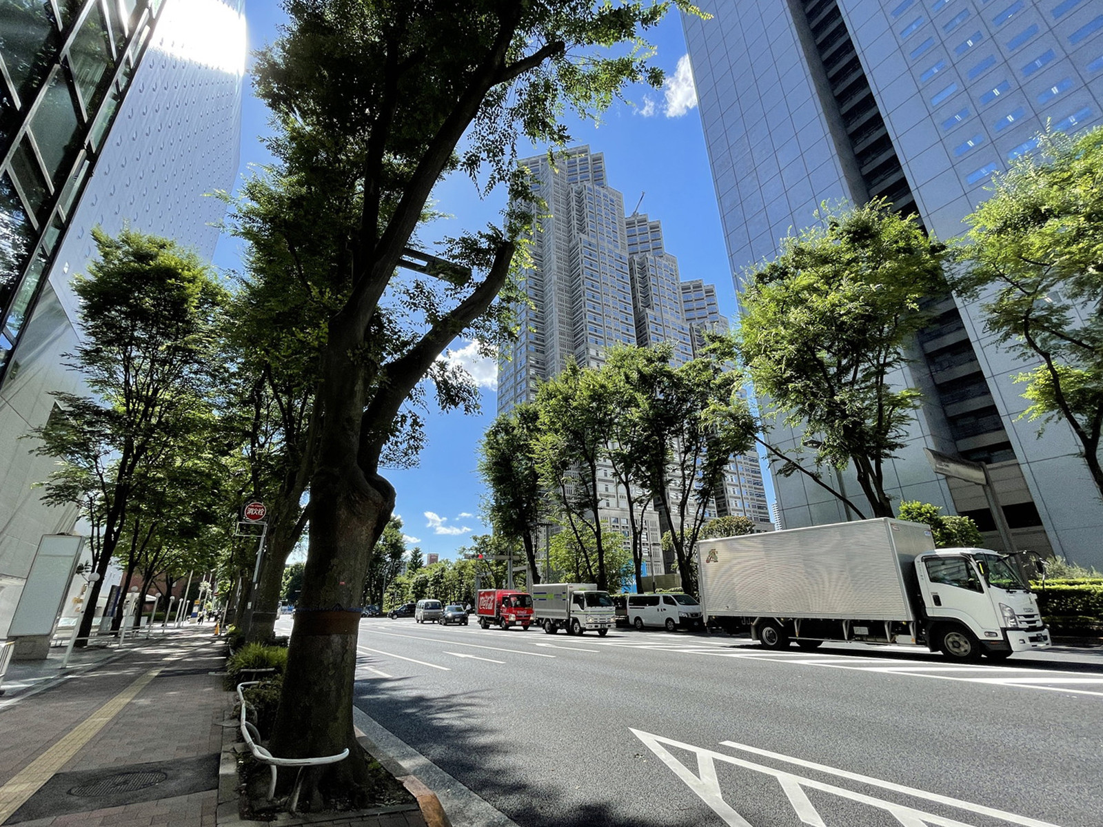 立花新宿ビル前面の通り