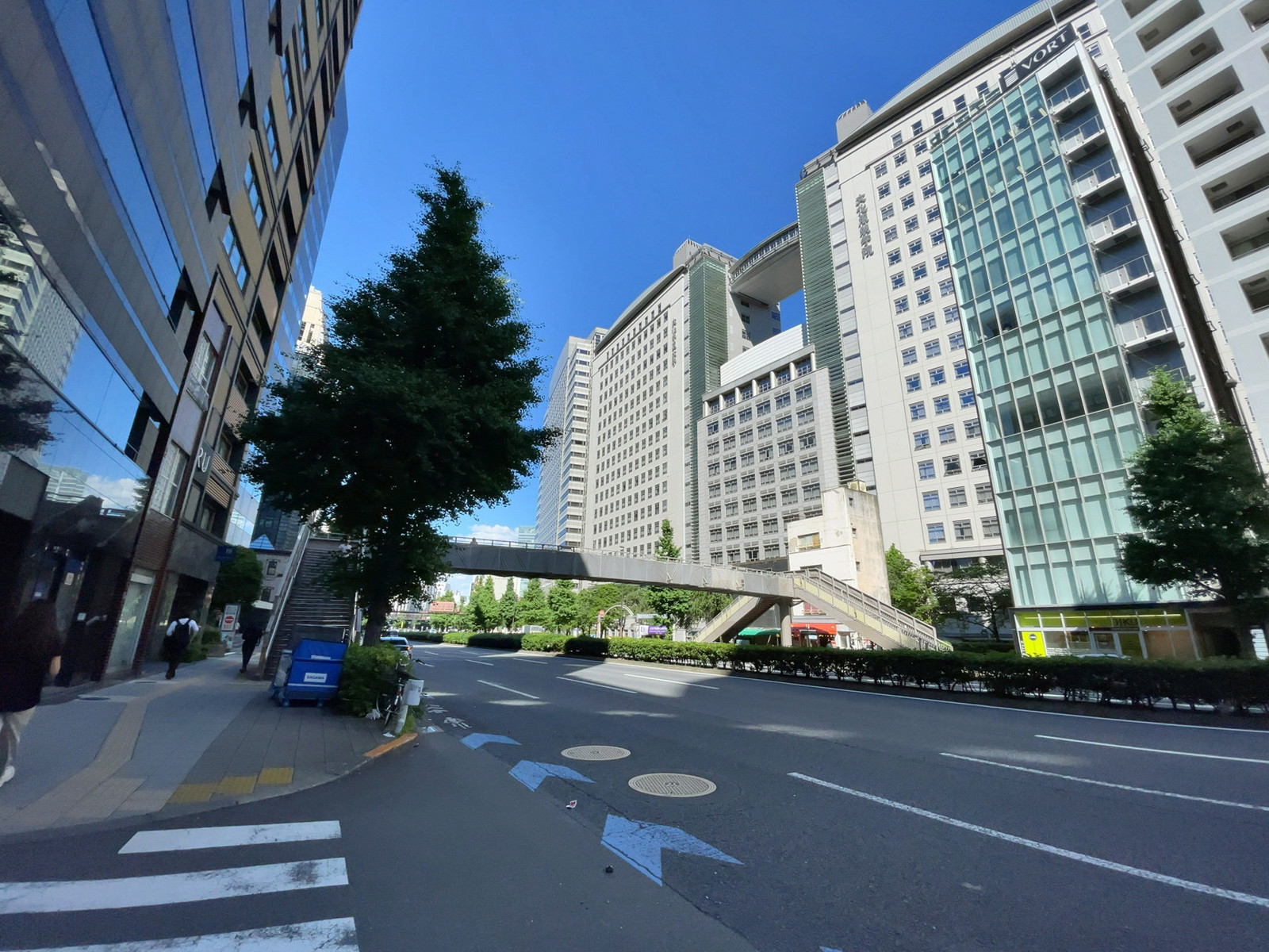 あいおいニッセイ同和損保新宿別館ビル前面の通り