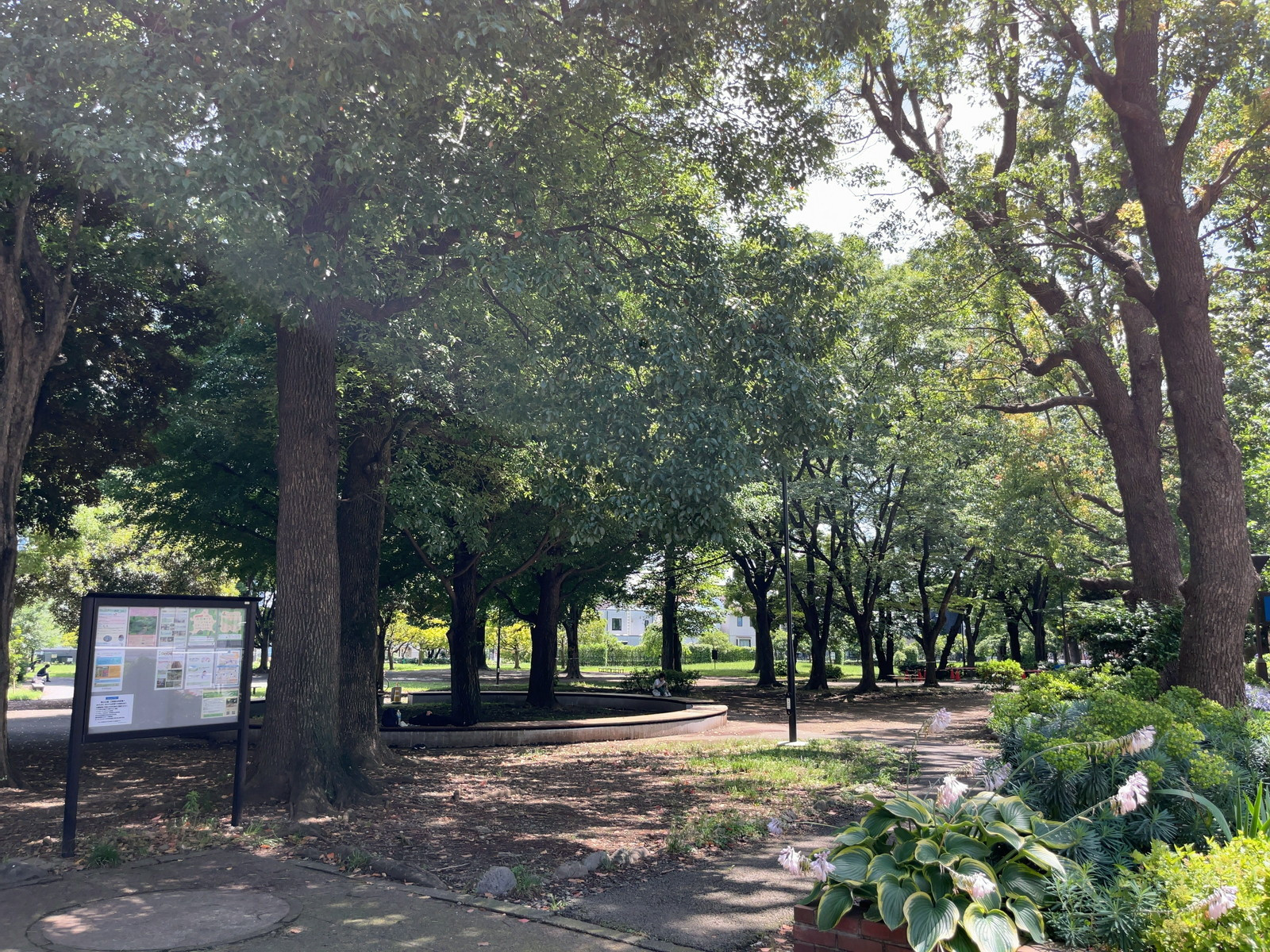 向かいにある港区立青葉公園