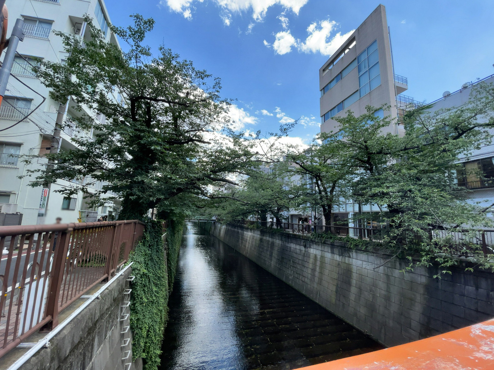 近くの目黒川