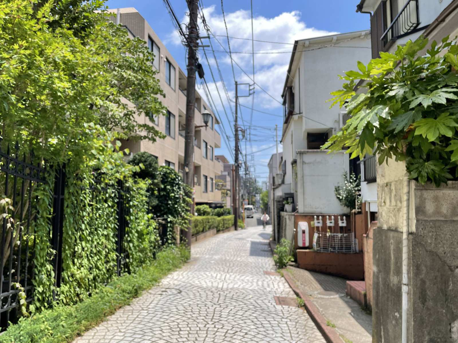 コンフォール四谷前面の通り