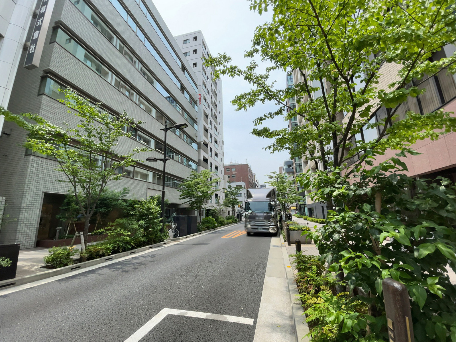 ハニー堀留ビル前面の通り