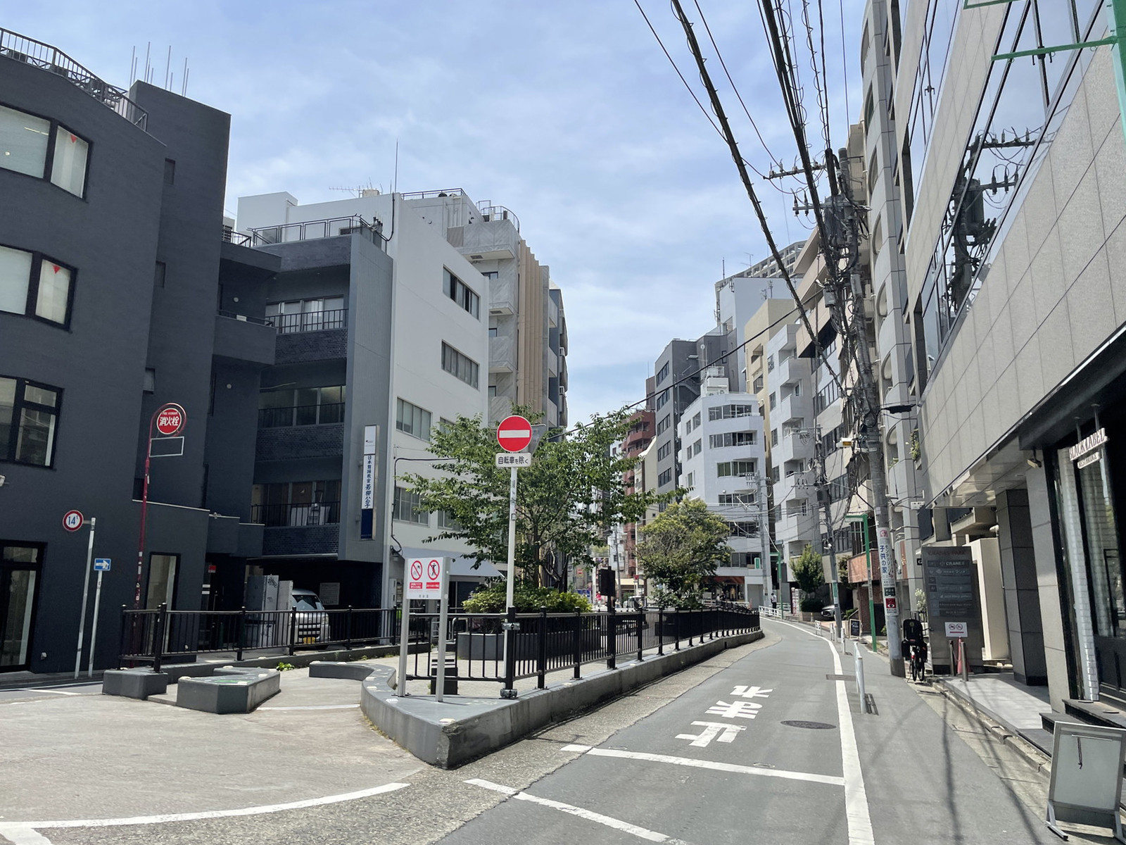 クレインズパーク前面の通り