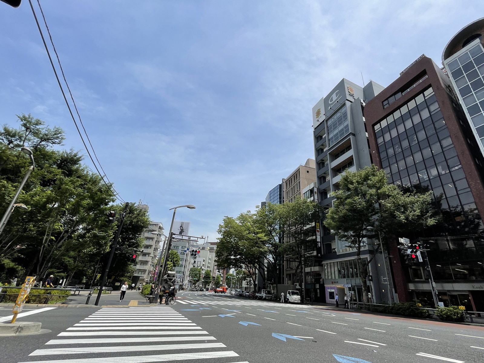 ニュー関口ビル前面の通り